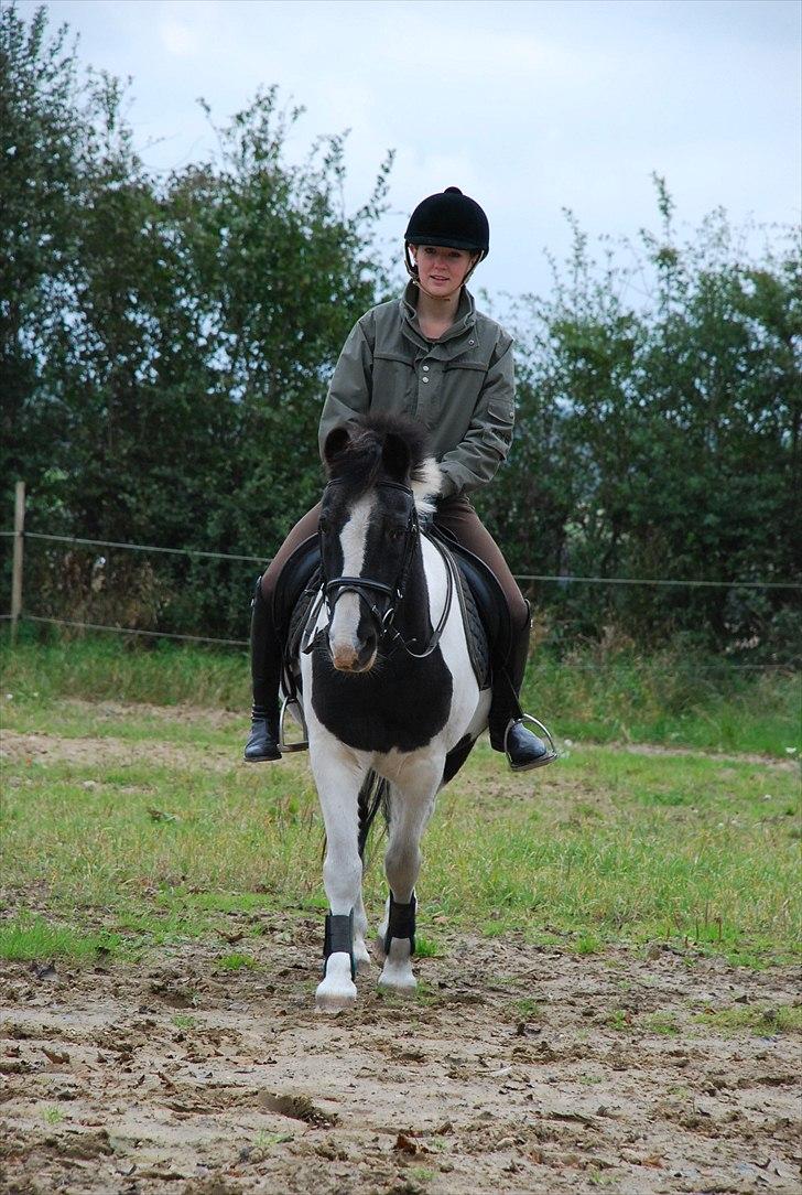 Anden særlig race Moonlight - kig på Mulle, ikke mig xD  foto ~ Mie Raun :D billede 6