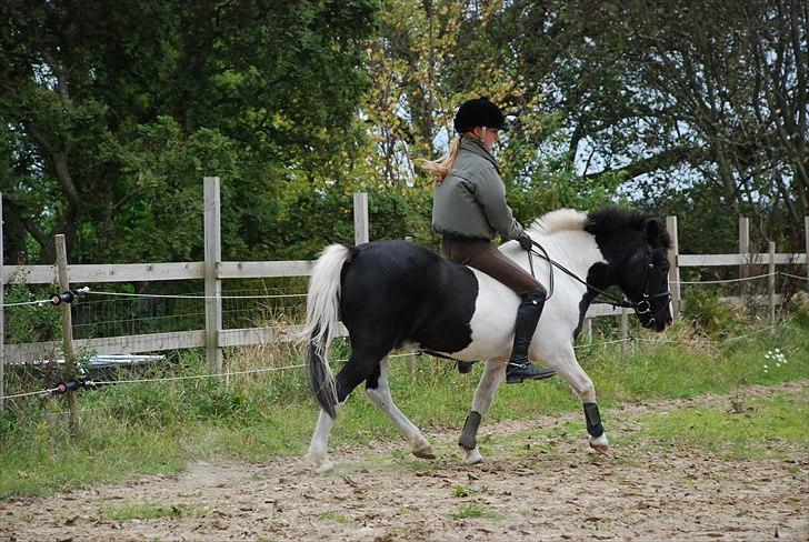 Anden særlig race Moonlight - dressur?, nej bare lange tøjler (-;  foto ~ Mie Raun :D billede 10