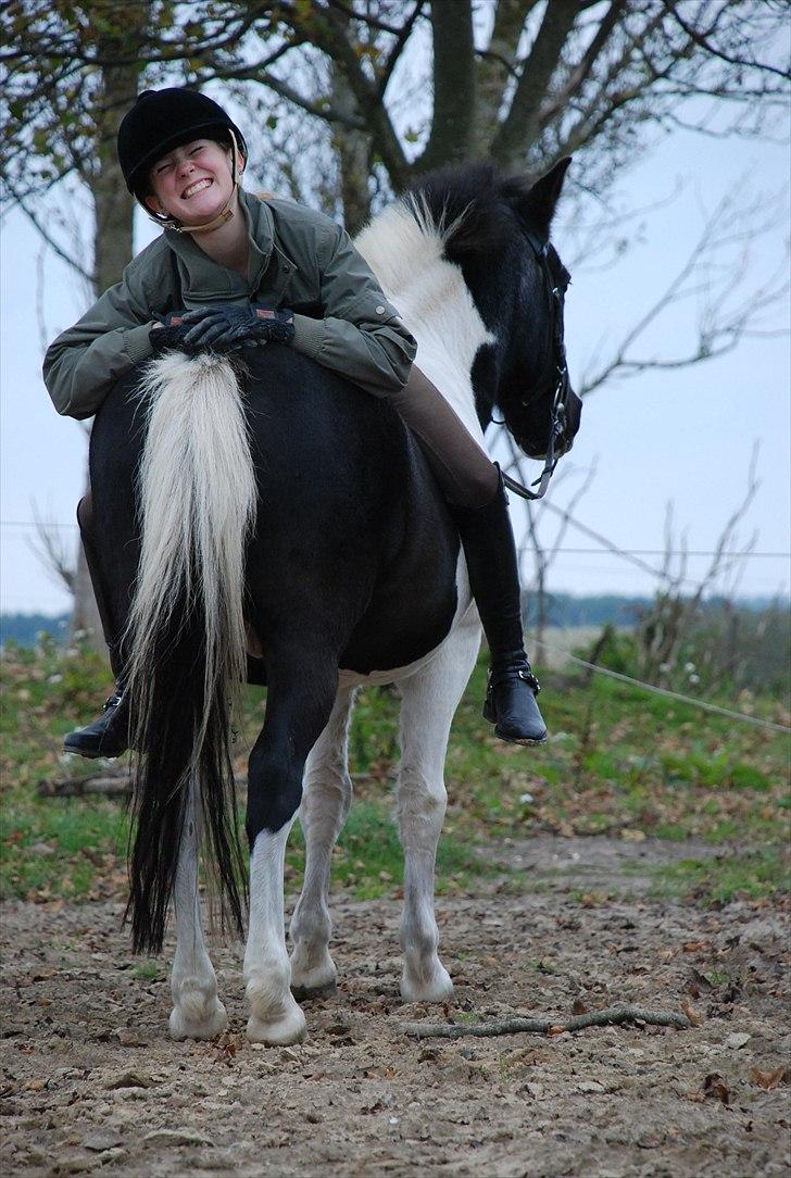 Anden særlig race Moonlight - kan godt forstå at jeg er glad (: foto ~ Mie Raun aka den bedste!:* billede 13