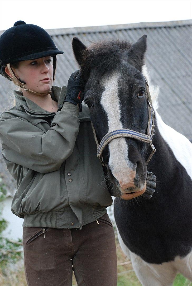 Anden særlig race Moonlight - Mulle :D!, ikk mig xD  foto ~ Mie Raun :D billede 14