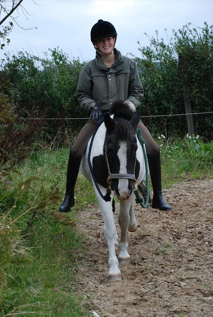 Anden særlig race Moonlight - kan man blive mere glad?:D, NEJ !  foto ~ Mie Raun :D billede 17