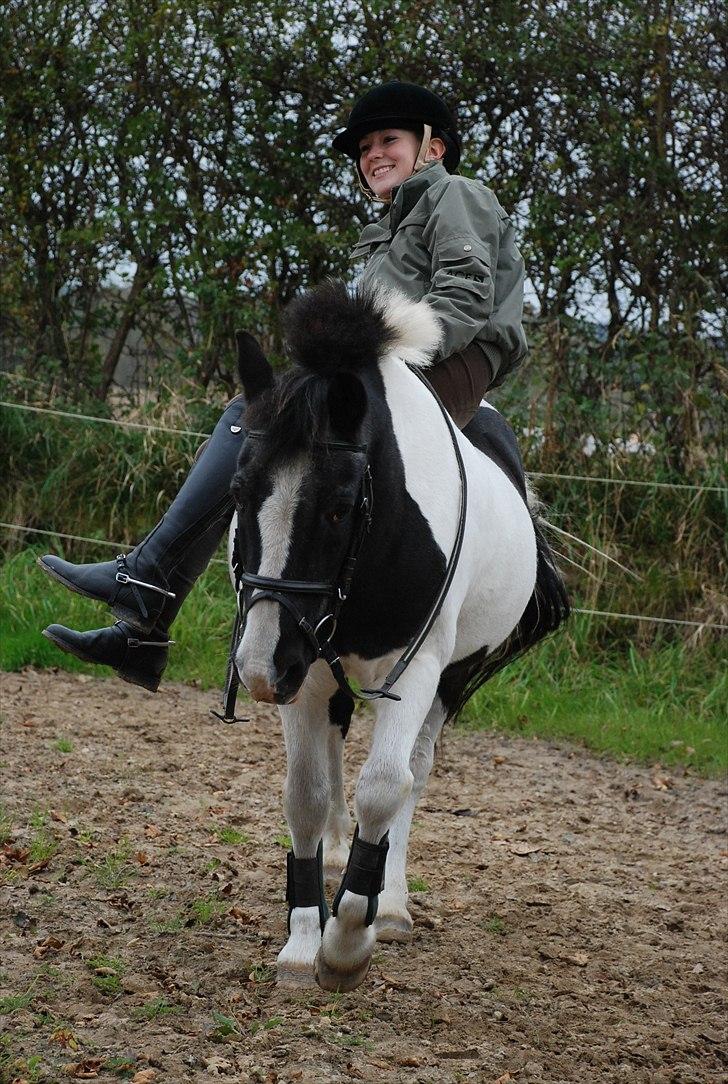 Anden særlig race Moonlight - ingen balance xD  foto ~ Mie Raun :D billede 18