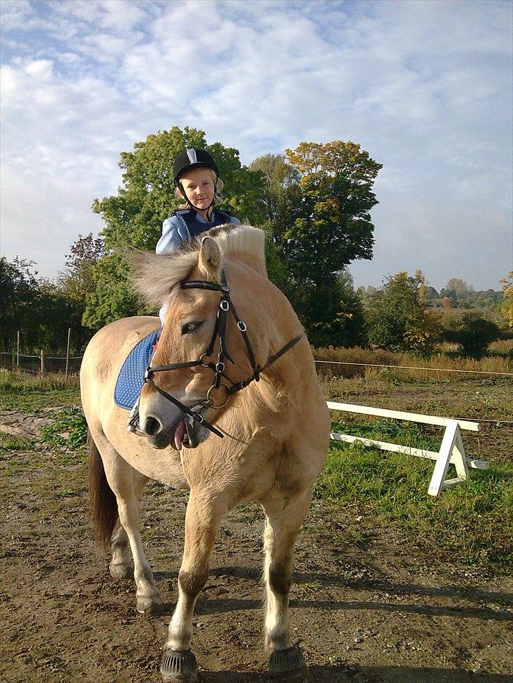 Anden særlig race Bodyguard billede 1