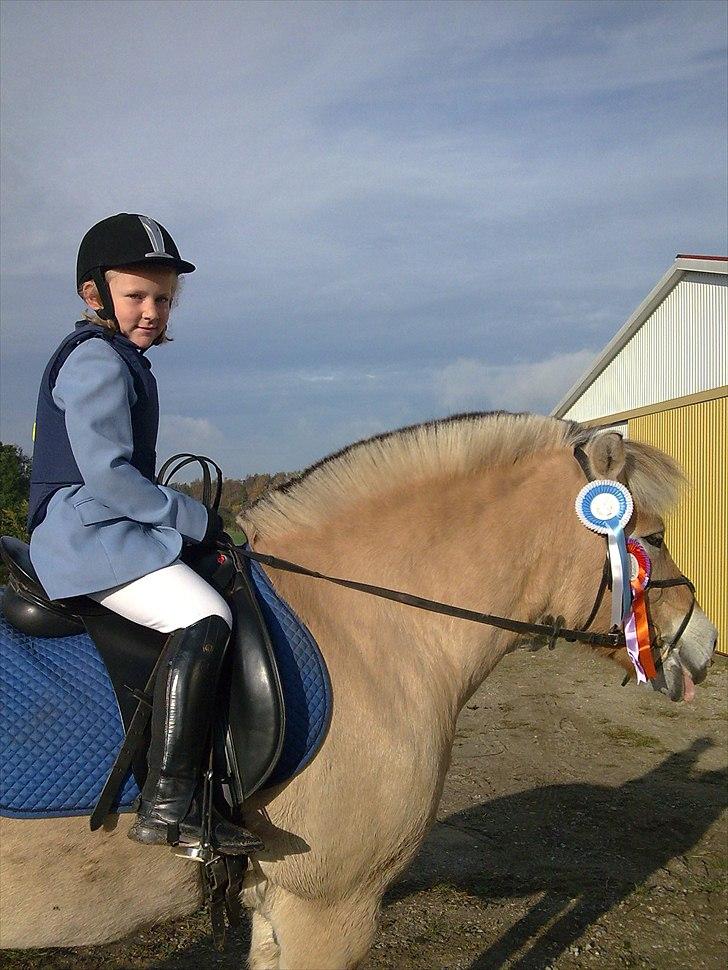 Anden særlig race Bodyguard billede 2