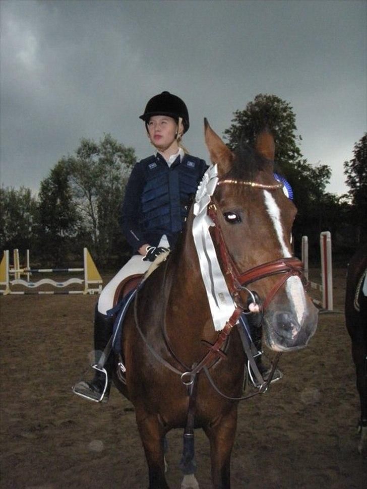 Irsk Sportspony Magic Rose - Rose der bliver nr. 2 til klubmesterskabet i spring  <3  billede 23