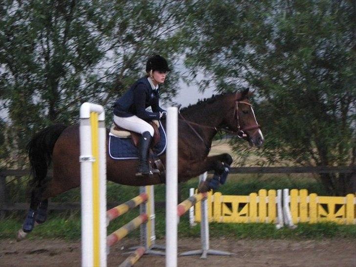 Irsk Sportspony Magic Rose - FLY Rose første spring i omspring til klubmesterskabet  billede 20