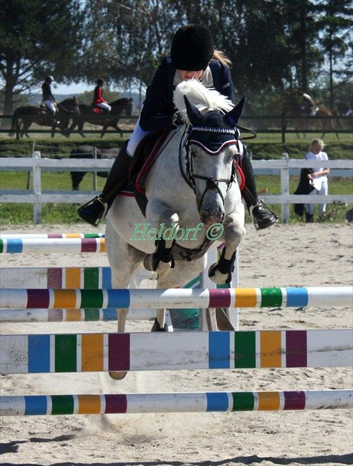 Anden særlig race Fantazy billede 4