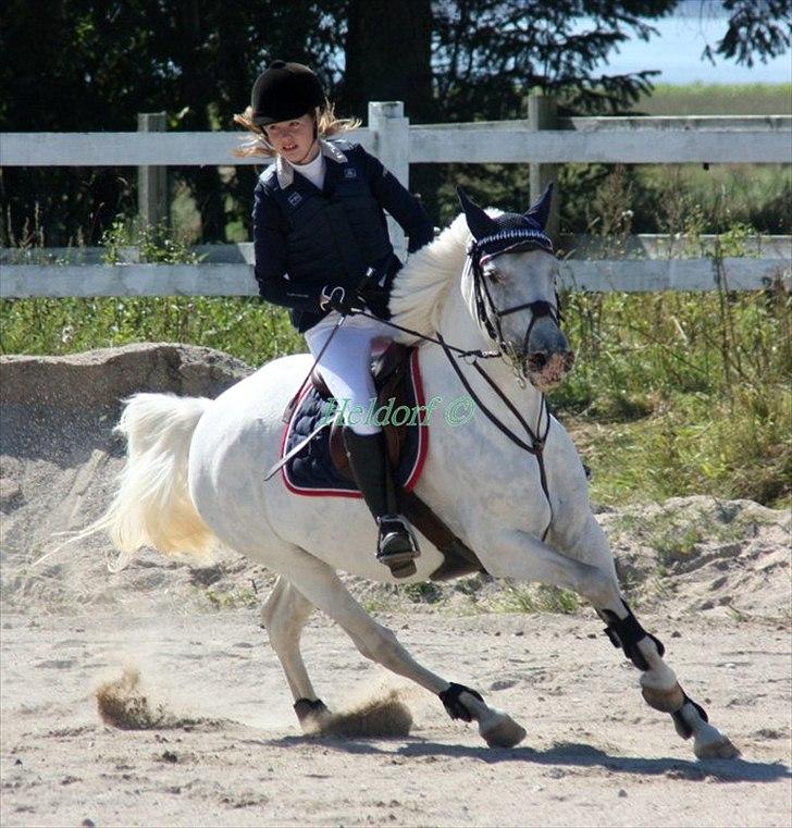 Anden særlig race Fantazy - smukke Fanta til distrikmesterskabet billede 5