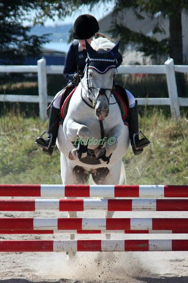 Anden særlig race Fantazy billede 6