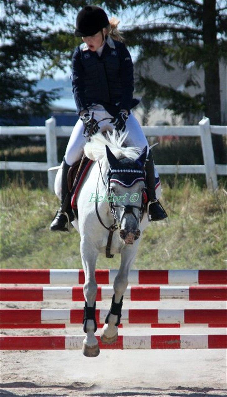 Anden særlig race Fantazy billede 7