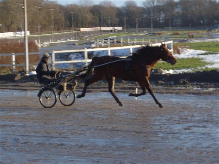 Traver Robin Faust - Robin og Birger Jørgensen træner på jydsk væddeløbsbane :D Foto: Maiken billede 15