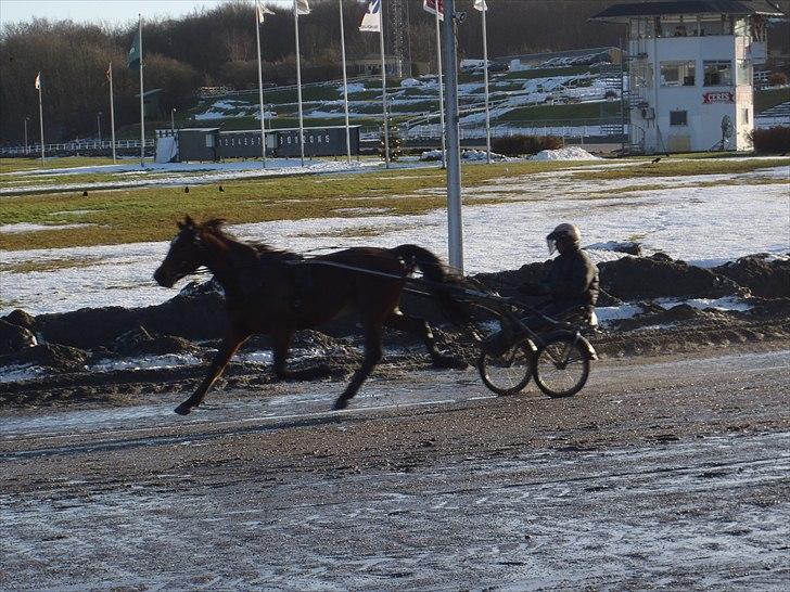 Traver Robin Faust - Robin og Birger Jørgensen træner på jydsk væddeløbsbane :D Foto: Maiken billede 16