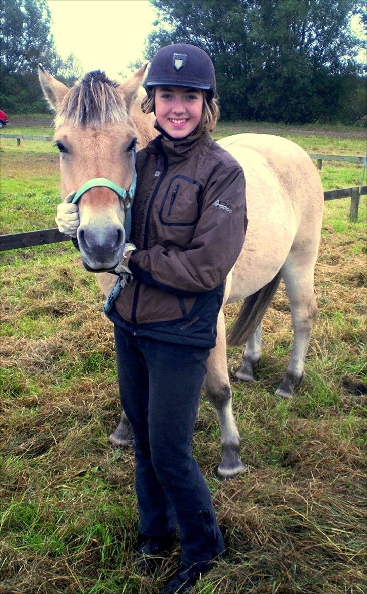 Fjordhest Sleipner - <3<3. billede 3