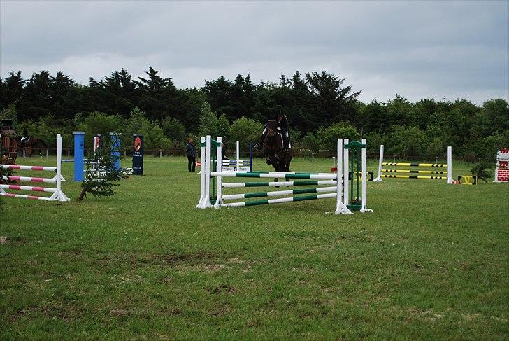 Hollandsk Sportspony Roxy (R.I.P) billede 14