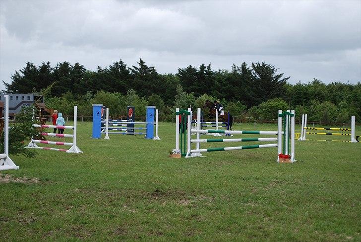 Hollandsk Sportspony Roxy (R.I.P) billede 15