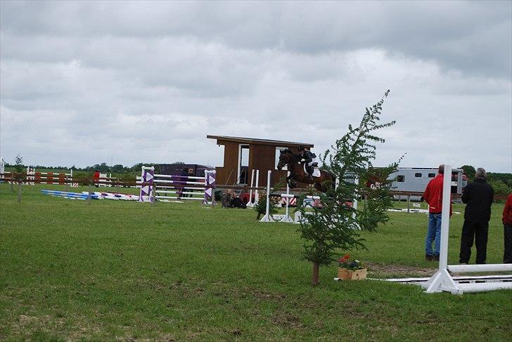 Hollandsk Sportspony Roxy (R.I.P) billede 16