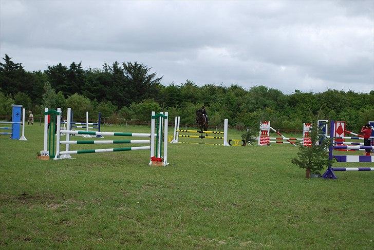 Hollandsk Sportspony Roxy (R.I.P) billede 17