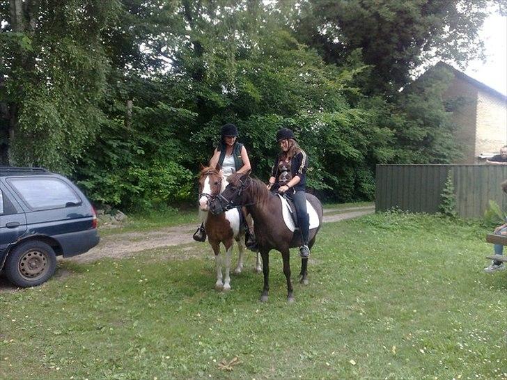 Anden særlig race Filur <3  - Foto: Far billede 3