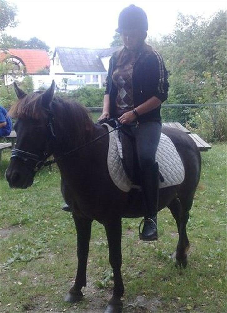 Anden særlig race Filur <3  - Foto: Morfar billede 4