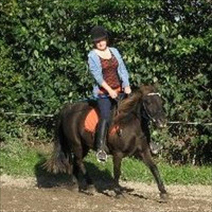 Anden særlig race Filur <3  - Foto: Jennifer  billede 5