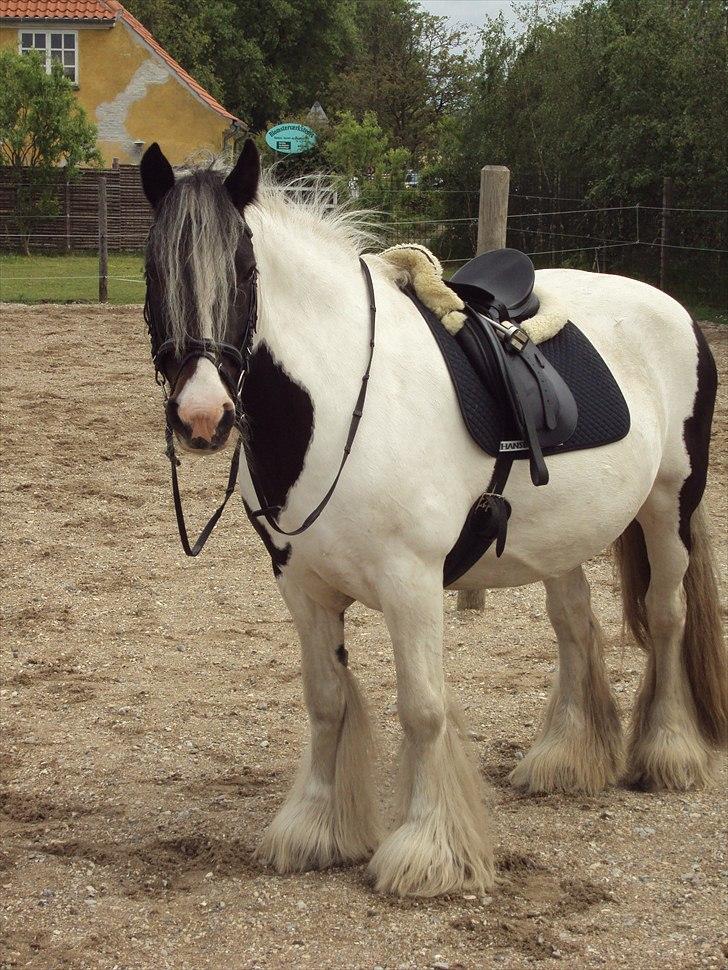 Tinker Dolly billede 1