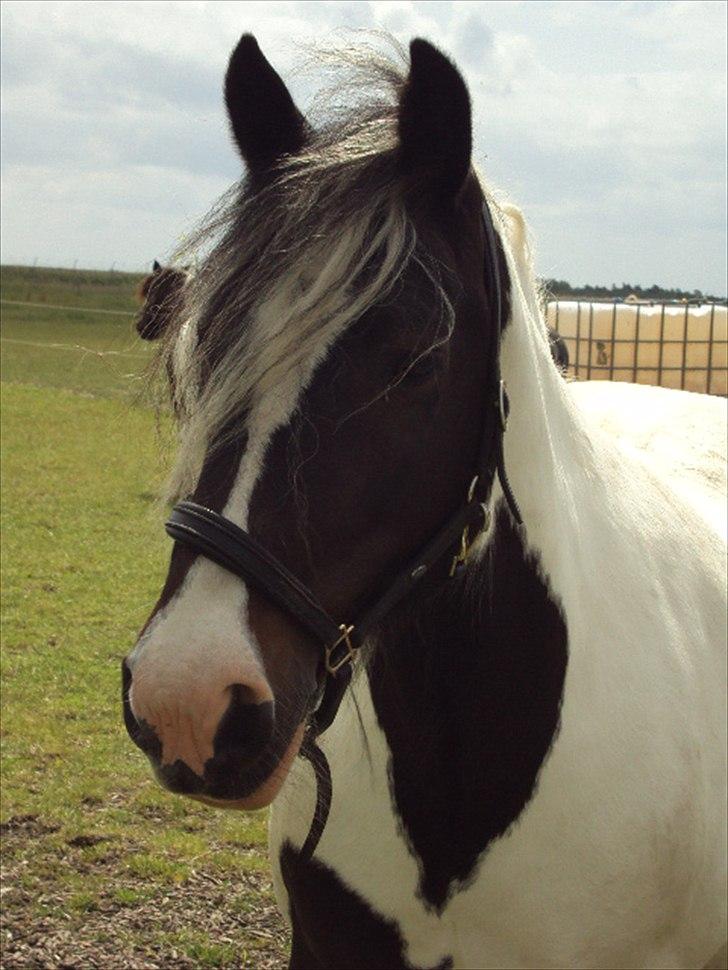 Tinker Dolly billede 3