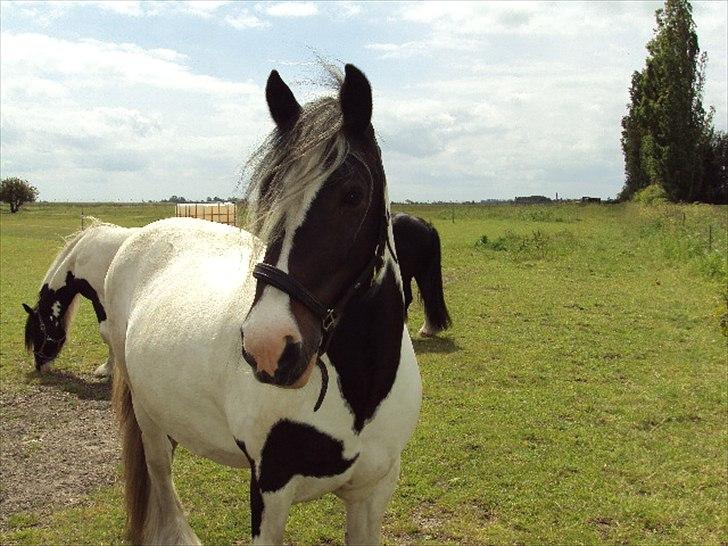 Tinker Dolly billede 5