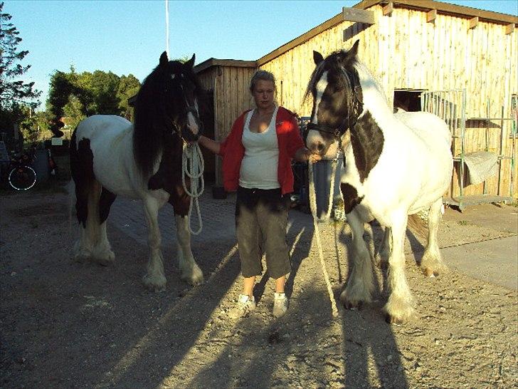 Tinker Dolly - Dolly og hendes dreng Troja billede 6