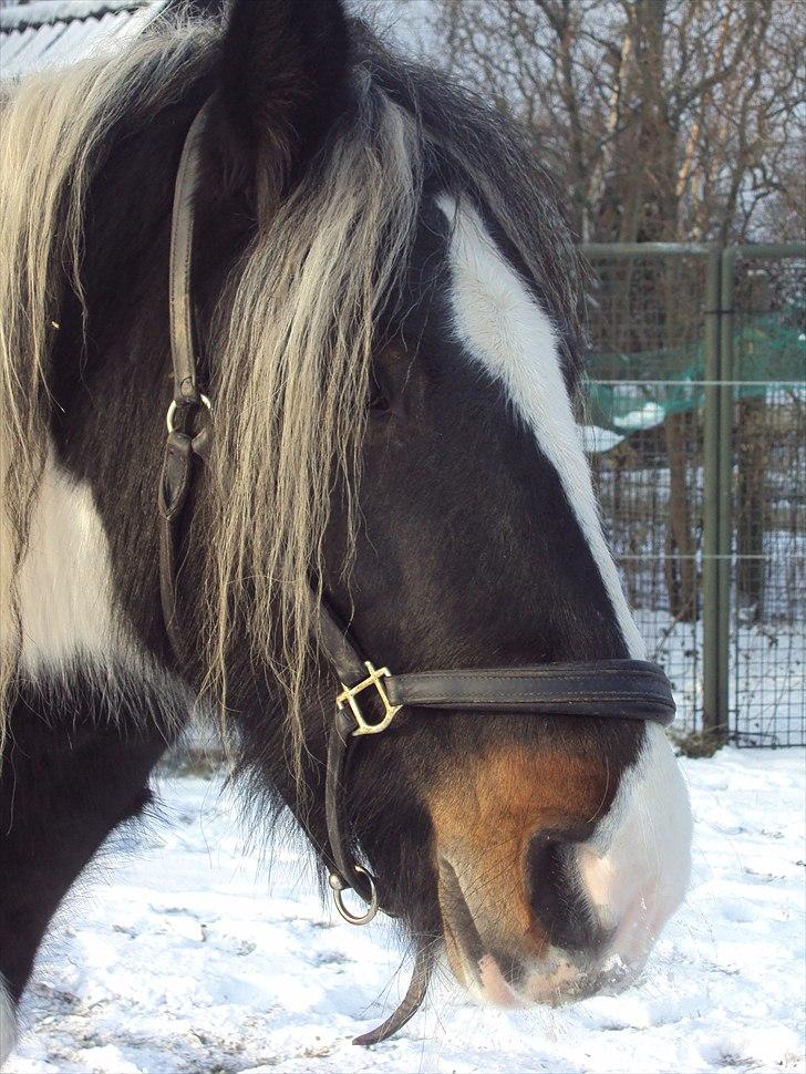 Tinker Dolly - Vinter Dolly billede 7