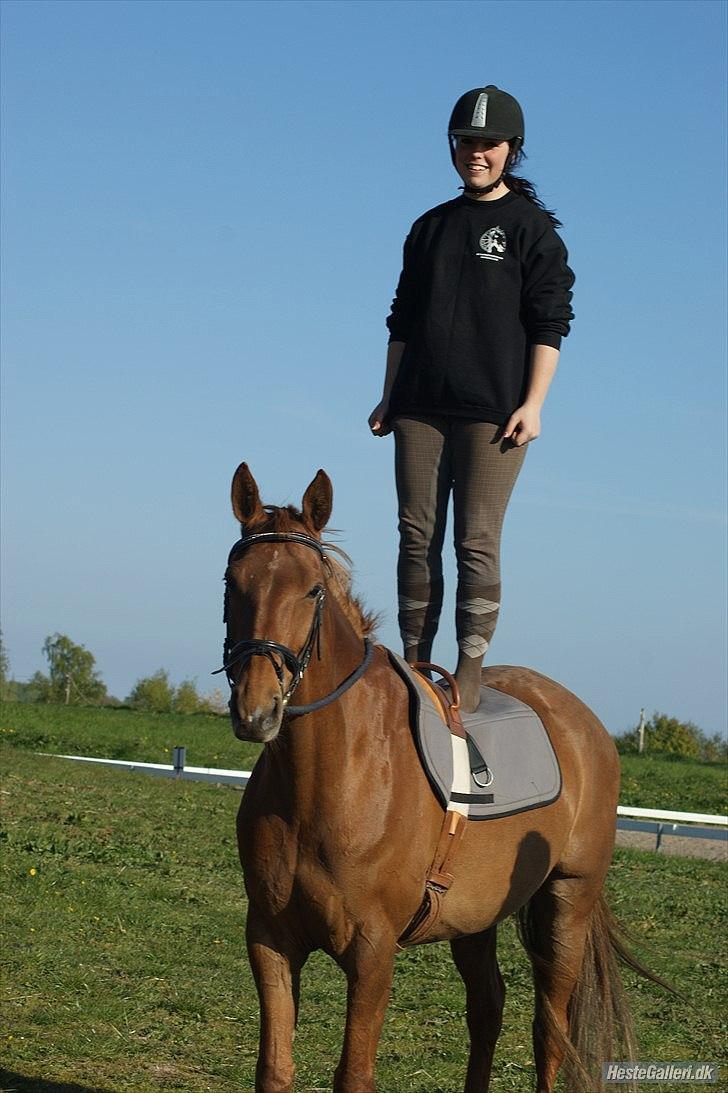 Anden særlig race | TALOU | MY SOULMATE - Taget af Josephine Hjelm Hansen .. billede 14