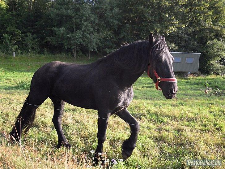 Frieser Pim de Keysergracht  billede 2