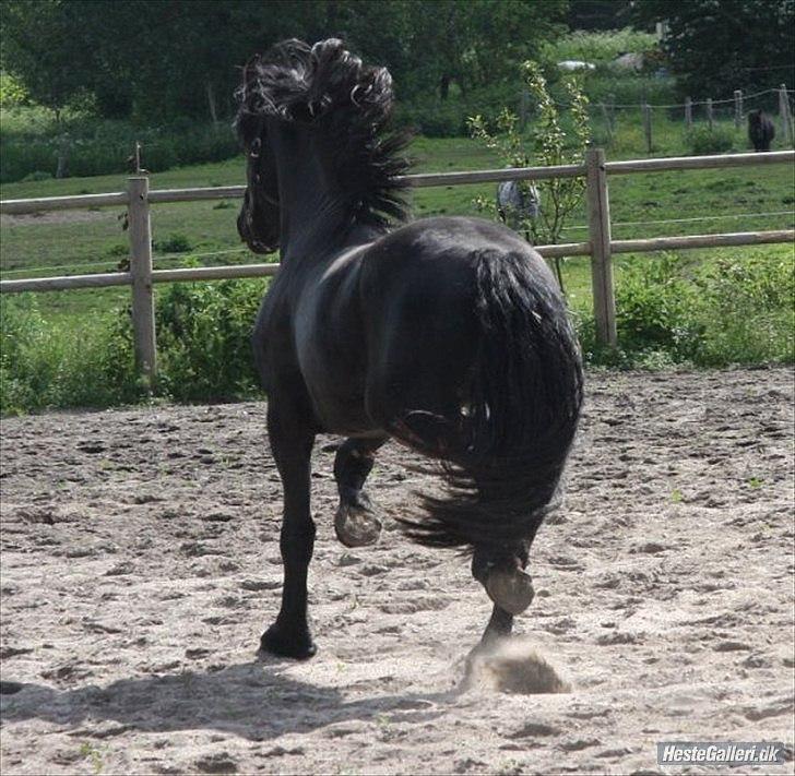 Frieser Pim de Keysergracht  billede 8