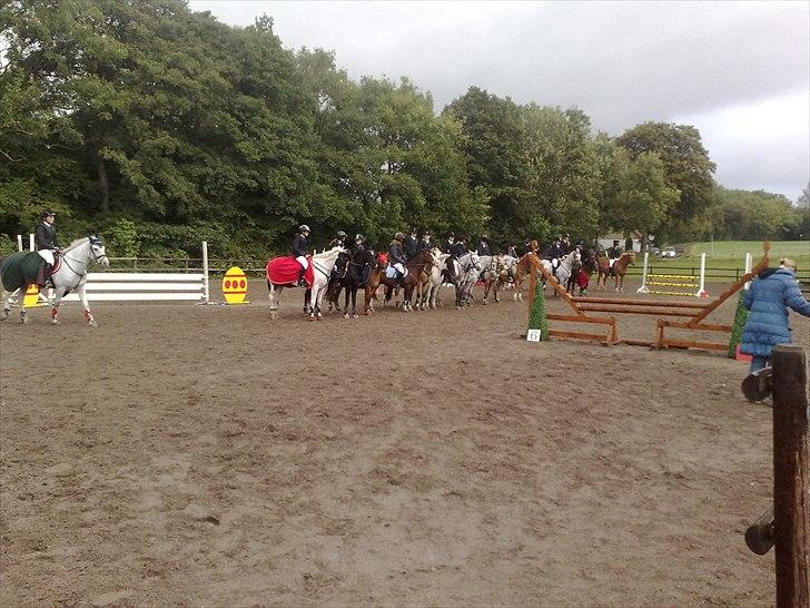 Hollandsk Sportspony Winnetou(SOLGT :D) - Holdspring Askov 3.plads billede 6