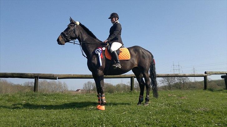 Holstener Aluett/Tulle - Springstævne den 21 apil 2011 :D billede 2