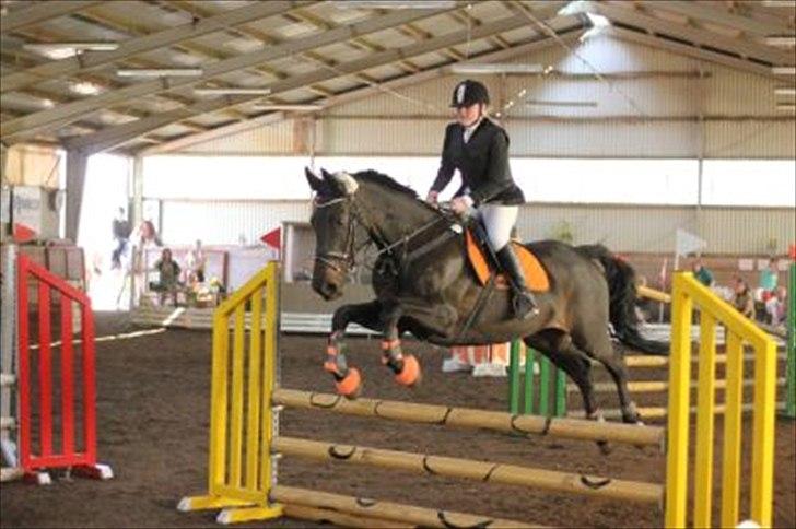 Holstener Aluett/Tulle - I SRÅ :D..  billede 4