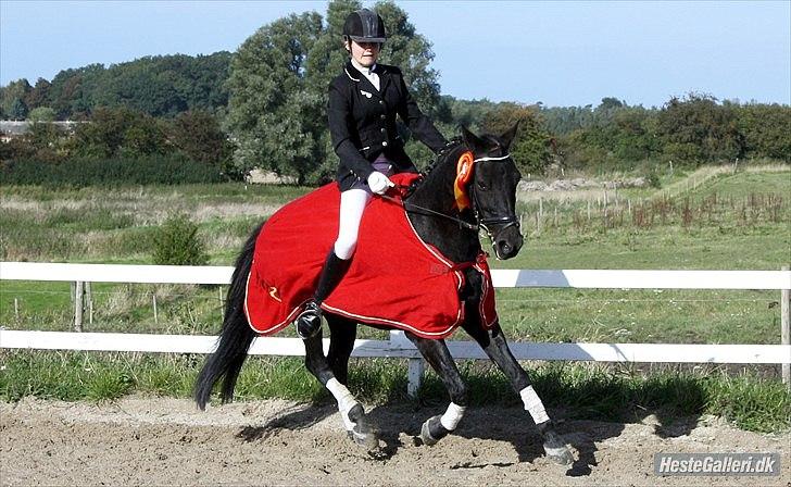 Anden særlig race Whesley - Sejrsrunde :) billede 14