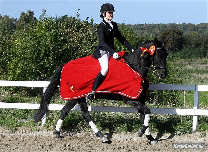 Anden særlig race Whesley - Sejrsrunde :) billede 15