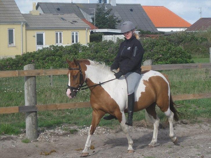 Anden særlig race Pepsi - Første gang jeg red ham. billede 1