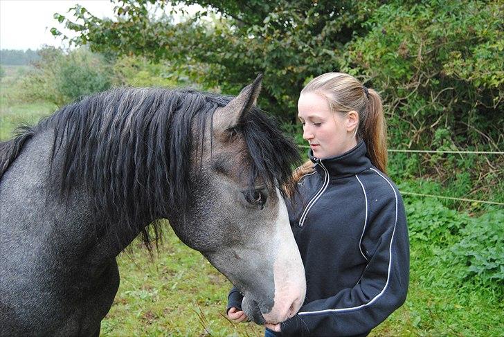 Anden særlig race Rolighedens Caruzo  - 9# Cille og Karozo. Foto: Caza billede 9
