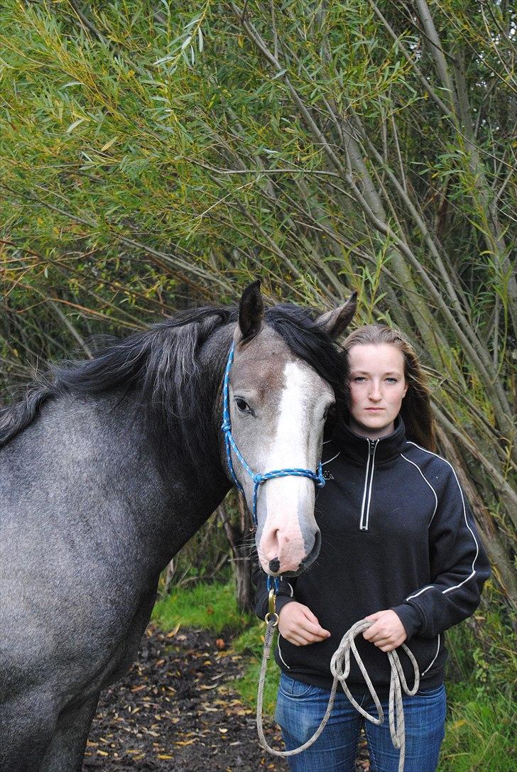 Anden særlig race Rolighedens Caruzo  - 11# Du blir og er smuk. Foto: Caza billede 11