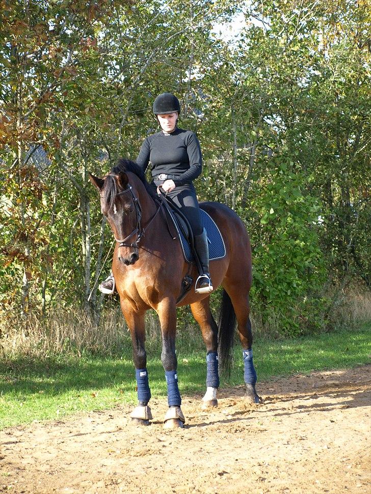 Oldenborg Etman's Cinzano Classico billede 6