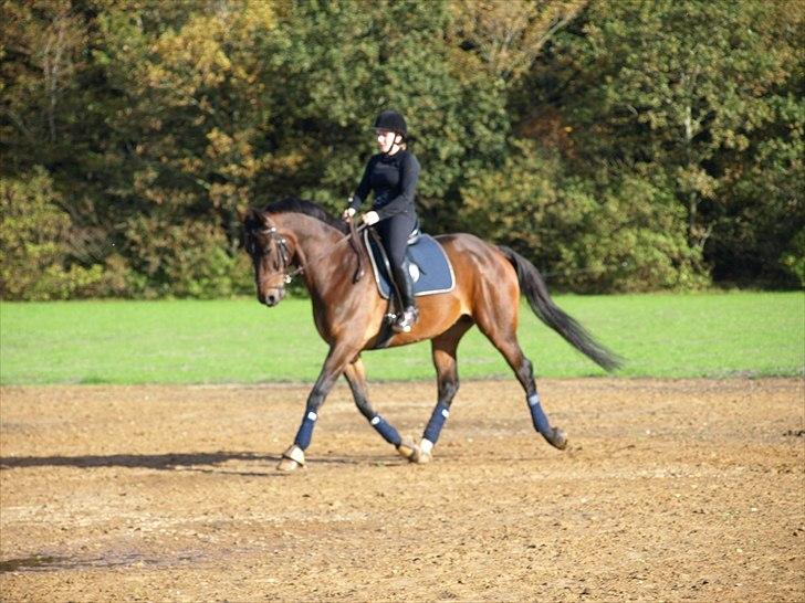 Oldenborg Etman's Cinzano Classico billede 7