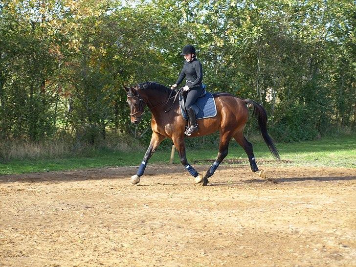 Oldenborg Etman's Cinzano Classico billede 8