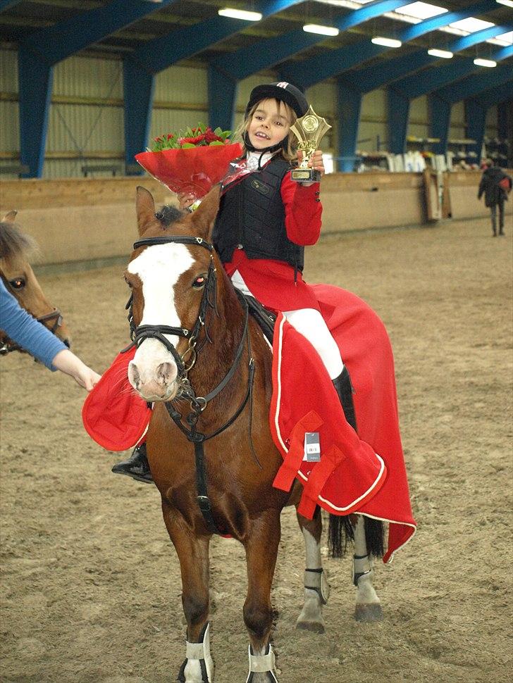 Anden særlig race Hip Hop - Maria Blev klubmester 2010 på Hippe igen :-) billede 9