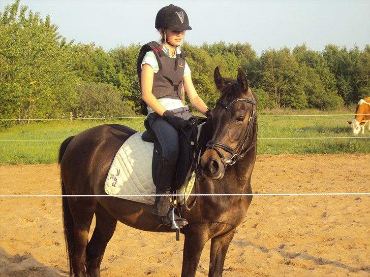 Anden særlig race Maya - En varm sommer aften - 2010  billede 10
