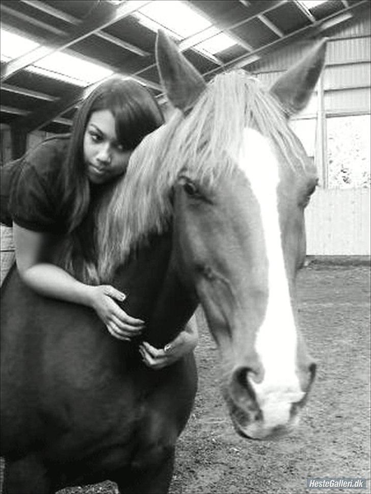 Hollandsk Varmblod ¨˜”°º• Rosa•º°”˜¨ Elsket & savnet. - En hest uden rytter, er stadig en hest. -Men en rytter uden hest, er kun et menneske.
 billede 9