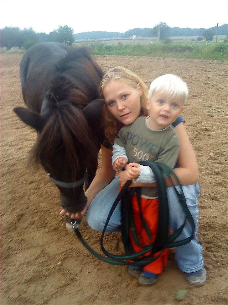 Shetlænder Samson <3 RIP <3 - Samson, Sebastian og min søster Heidi c",) billede 11