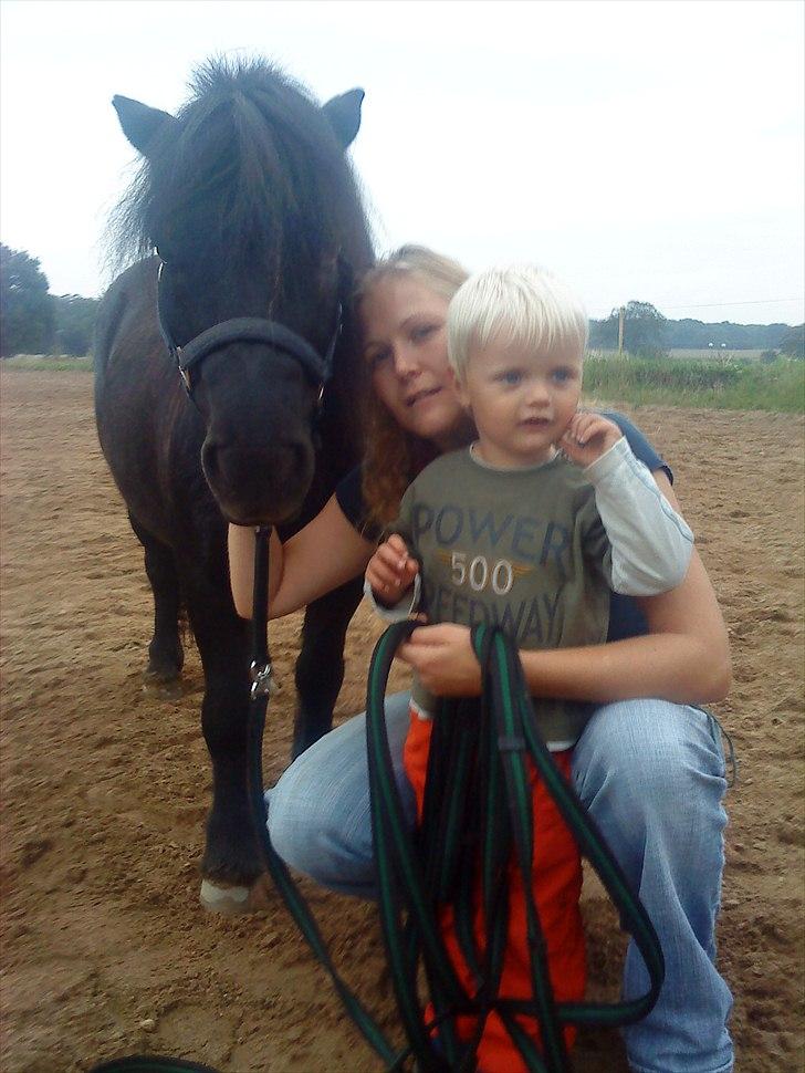 Shetlænder Samson <3 RIP <3 - Samson, Sebastian og min søster Heidi c",) billede 12