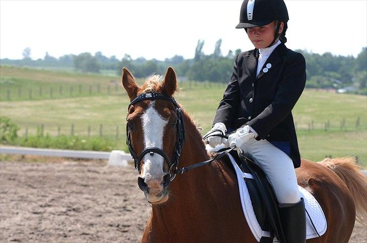 Anden særlig race |Pippi*Aflivet*| - Stævne på SKaTTEN hjemme-bane|foto:Lars P.K.(FAR) billede 6