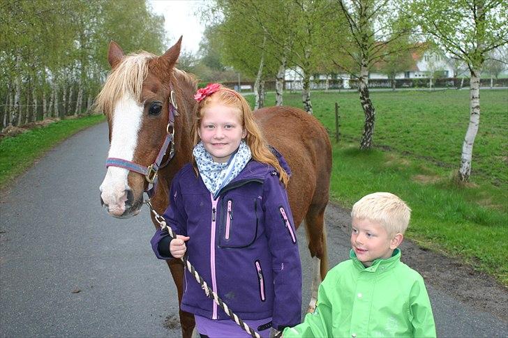 Anden særlig race |Pippi*Aflivet*| - Ude i Faxe og hente skatten,ALLER BEDSTE DAG MED DIQQ SKATHH EN DRØM BLEV FYLDT<33333`|FOTO:Henriette K(mor)| billede 7